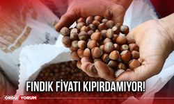 Fındık Fiyatı Kıpırdamıyor!