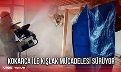 Kokarca İle Kışlak Mücadelesi Sürüyor