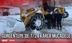 Gürgentepe’de 7/24 Karla Mücadele