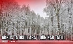 Akkuş'ta Okullara 1 Gün Kar Tatili