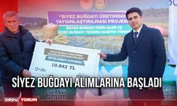 Siyez Buğdayı Alımlarına Başladı