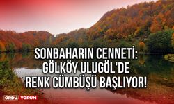 Sonbaharın Cenneti: Gölköy Ulugöl'de Renk Cümbüşü Başlıyor!