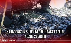 Karadeniz’in Su Ürünleri İhracat Geliri Yüzde 22 Arttı