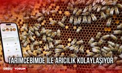 TarımCebimde ile Arıcılık Kolaylaşıyor