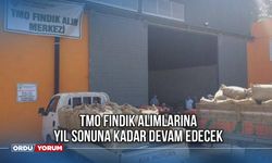 TMO Fındık Alımlarına Yıl Sonuna Kadar Devam Edecek