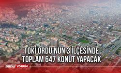 TOKİ Ordu'nun 3 İlçesinde Toplam 647 Konut Yapacak