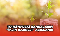 Türkiye'deki bankaların "iklim karnesi" açıklandı