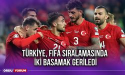 Türkiye, FIFA Sıralamasında İki Basamak Geriledi