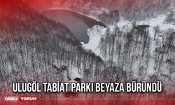 Ulugöl Tabiat Parkı Beyaza Büründü