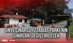 Ünye Çınarsuyu Tabiat Parkı’nın Sınırları Değiştirilecek