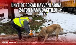 Ünye’de Sokak Hayvanlarına 24 Ton Mama Dağıtıldı