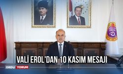 Vali Erol'dan 10 Kasım Mesajı