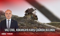 Vali Erol, Kokarcaya Karşı Çağrıda Bulundu