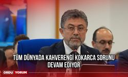 “Tüm Dünyada Kahverengi Kokarca Sorunu Devam Ediyor”