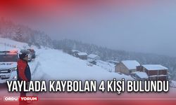 Yaylada Kaybolan 4 Kişi Bulundu