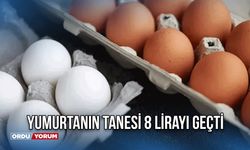 Yumurtanın Tanesi 8 Lirayı Geçti