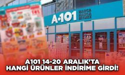 A101 14-20 Aralık'ta Hangi Ürünler İndirime Girdi! A101 14-20 İndirim Kataloğu