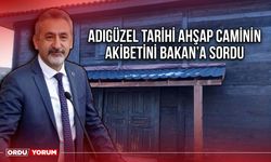 Adıgüzel, Tarihi Ahşap Caminin Akıbetini Bakan’a Sordu