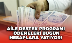 Aile Destek Programı Ödemeleri Bugün Hesaplara Yatıyor!