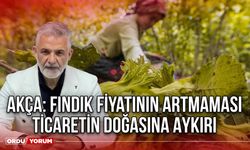 Akça: Fındık Fiyatının Artmaması Ticaretin Doğasına Aykırı