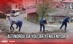 Altınordu’da Yollar Yenileniyor