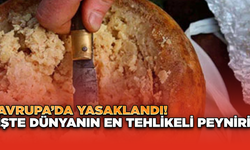 Avrupa’da Yasaklandı! İşte Dünyanın En Tehlikeli Peyniri