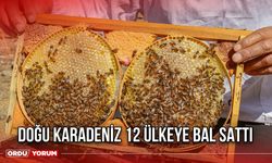 Doğu Karadeniz 12 Ülkeye Bal Sattı