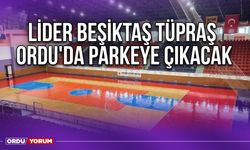 Lider Beşiktaş Tüpraş, Ordu'da Parkeye Çıkacak