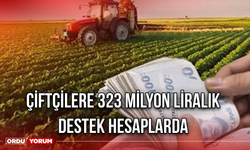 Çiftçilere 323 Milyon Liralık Destek Hesaplarda