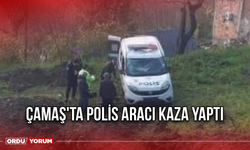 Çamaş'ta Polis Aracı Kaza Yaptı