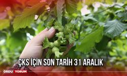 ÇKS İçin Son Tarih 31 Aralık