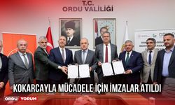 Kokarcayla Mücadele İçin İmzalar Atıldı