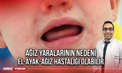 Ağız Yaralarının Nedeni, El-Ayak-Ağız Hastalığı Olabilir