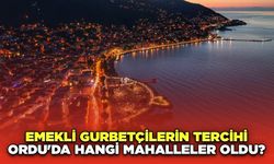 Emekli Gurbetçilerin Tercihi Ordu'da Hangi Mahalleler Oldu?