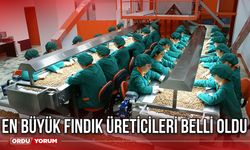 En Büyük Fındık Üreticileri Belli Oldu