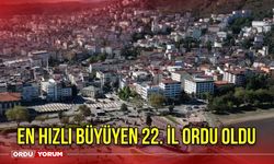 En Hızlı Büyüyen 22. İl Ordu Oldu