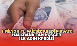 1 Milyon TL Faizsiz Kredi Fırsatı! Halkbank’tan KOSGEB İlk Adım Kredisi