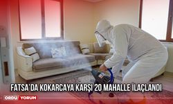 Fatsa’da Kokarcaya Karşı 20 Mahalle İlaçlandı