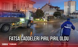 Fatsa Caddeleri Pırıl Pırıl Oldu