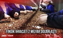 Fındık İhracatı 2 Milyar Doları Aştı