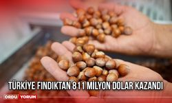 Türkiye Fındıktan 811 Milyon Dolar Kazandı