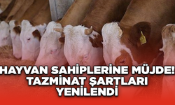 Hayvan Sahiplerine Müjde! Tazminat Şartları Yenilendi