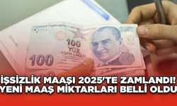 İşsizlik Maaşı 2025'te Zamlandı! Yeni Maaş Miktarları Belli Oldu