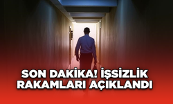 Son Dakika! İşsizlik rakamları açıklandı