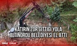 Katırın Zor Gittiği Yola Altınordu Belediyesi El Attı