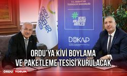 Ordu’ya Kivi Boylama ve Paketleme Tesisi Kurulacak