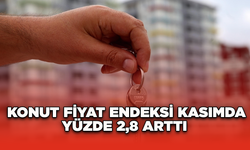 Konut Fiyat Endeksi kasımda yüzde 2,8 arttı