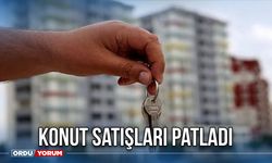 Konut Satışları Patladı