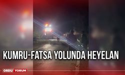 Kumru-Fatsa Yolunda Heyelan