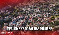 Mesudiye’ye Doğal Gaz Müjdesi!